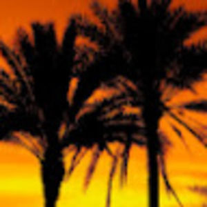 Meet your Posher, Audrey